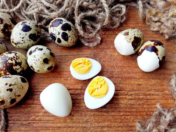 oua de prepelita fierte agri shop