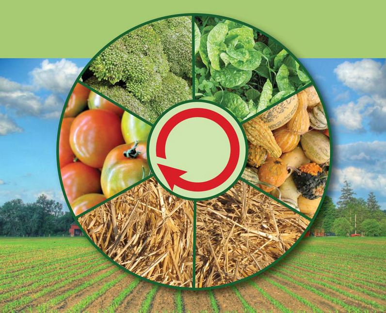 rotația-culturilor-și-menținerea-fertilității-solului